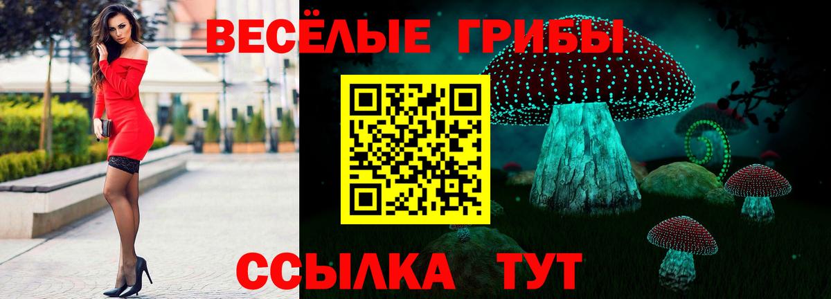 Псилоцибиновые грибы ЛСД  Галлюциногенные грибы ЛСД  Вход с VPN  Выборг 