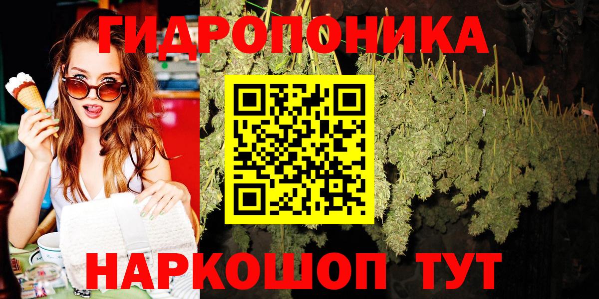 Бошки Шишки планчик Выборг